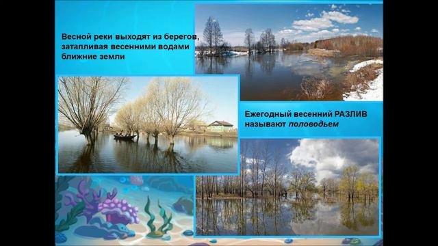 Презентация 