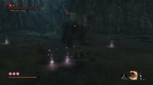 Все достижения в Sekiro: Shadows Die Twice  Подробный гайд по получению платины