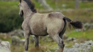 для того что бы уснуть менее чем за 5 минут.Как уснуть?