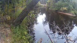 Бешенный клев крупного окуня/Ловля на боковой кивок/Ловля на мормышку окуня - выпуск№9