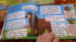 Животные Леса №1 "Первый выпуск"