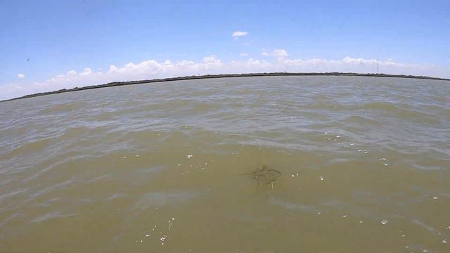 WE CAUGHT HOW MANY TROUT?!! смотреть онлайн