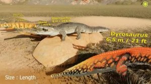 Crocodile Size Comparison I Alligator I WTD