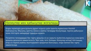 НАН ЖЕУДІ ТОҚТАТСАҚ ҚАНДАЙ ӨЗГЕРІСТЕР БОЛАДЫ, ДЕНЕМІЗ ҚУАТҚА ТОЛЫ, ШЫНАЙЫ ЭНЕРГИЯ АЛАДЫ, Керек арна