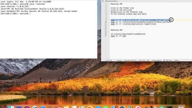 Uninstalling Java from MAC - Remove Java from MacOS смотреть онлайн