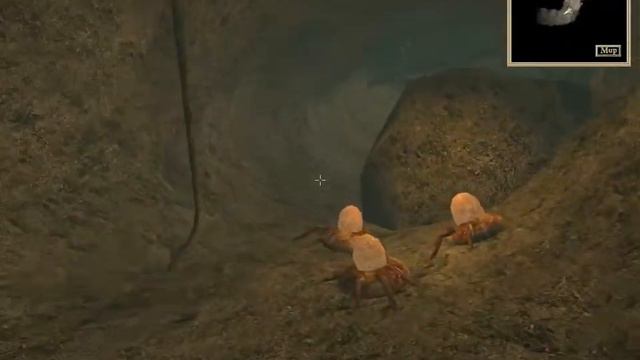 TES 3 Morrowind [4] Яичные воры смотреть онлайн