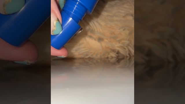 Asmr:расслабляющий мист?