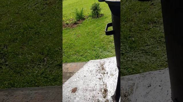 Узбекский плов на день рождения Галине Аркадьевне. смотреть онлайн