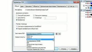 Corel Draw X5 для начинающих. Конвертация в PDF (9.6)