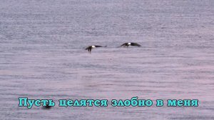 На крыльях могучих орлиных