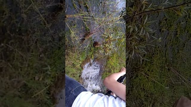 Бекас смотреть онлайн