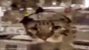 Дрочет левая рука