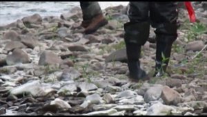 Отдых, рыбалка на реках Приморского края. р. Арсеньевка 22-24.07.2011 г.