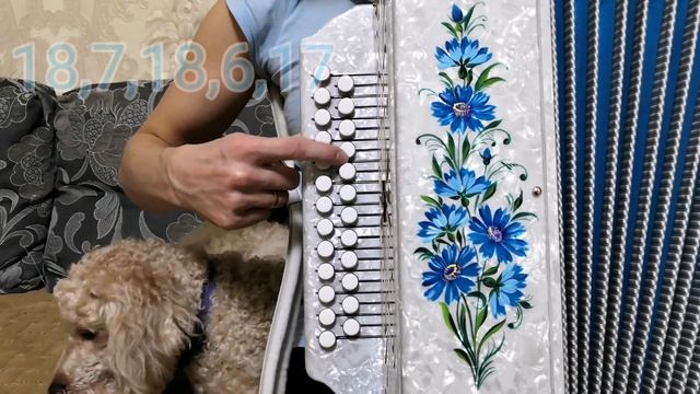 Полынь трава-разбор на гармони смотреть онлайн