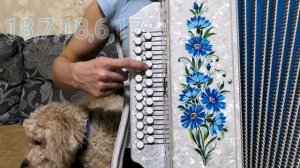 Полынь трава-разбор на гармони
