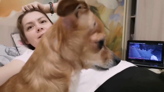 VLOG. Готовлю чебуреки. Наш день. смотреть онлайн