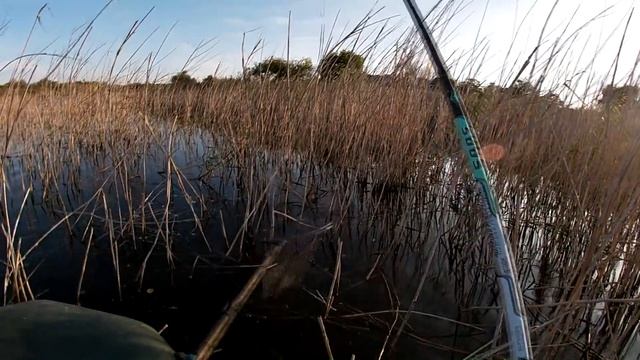 Рыбалка. Клюнул самый большой карась , которого я ловил. My fishing смотреть онлайн