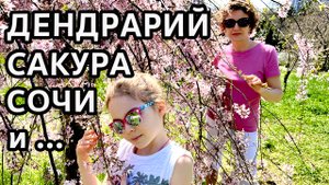 Дендрарий в Сочи