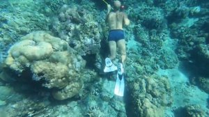 Подводная охота с гавайкой на острове Бали.