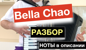 Сыграет каждый Аккордеонист!!! Bella Chao разбор как играть на Аккордеоне - урок аккордеона  с нуля