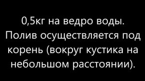 5 подкормок для клубники во время её цветения