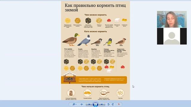 Чем кормить птиц зимой? Правильная зимняя подкормка птиц