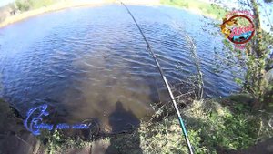 Рыбалка на карася на дальний заброс Недайвода