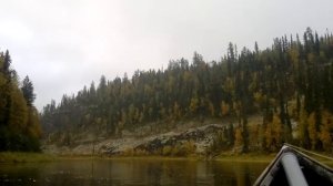 Коми река Пижма