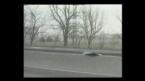 Гражданская оборона при ЧС природного характера