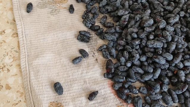 ?Собрала ягоды, готовлю к заморозке? смотреть онлайн