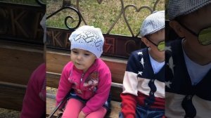 Машина едет далеко. Песня для детей. #машинки #песенкидлядетей #песнинаприроде #песнидлядетей