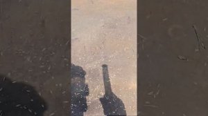 как правильно разобрать, правильно собрать вилку на мотоцикле МИНСК