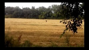 Как найти выползка.  Хранение выползка