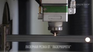 На странице Решетки гриль из нержавейки интернет магазина Lazervorota shop