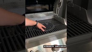 Основные различия между газовыми грилями WEBER SPIRIT II E-310 GBS и GENESIS II E-310 GBS.