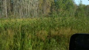 Поездка на озеро Салтаим 17.08.19г