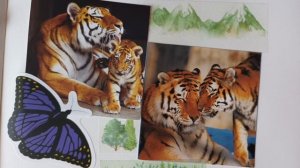 СКРАПБУКИНГ/СЕМЬЯ ТИГРОВ