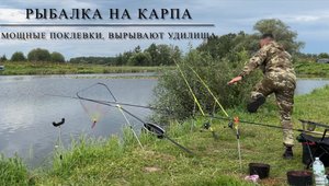 Рыбалка,карп.Мощные поклевки,вырывает удилище из рук!