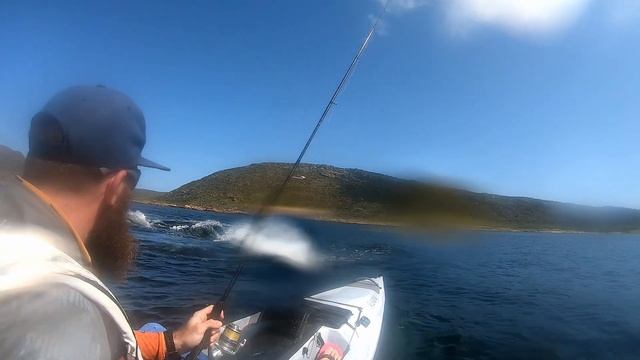 Whales on a kayak while fishing | Cape Point, South Africa смотреть онлайн