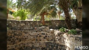 "Надежда",Николай Евграфович Пестов.