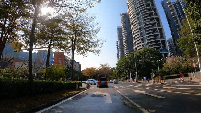 4K Shenzhen Drive - Futian Port / Hong Kong Lok Ma Chau to Deep Bay - China