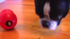 KONG Классик игрушки для собак