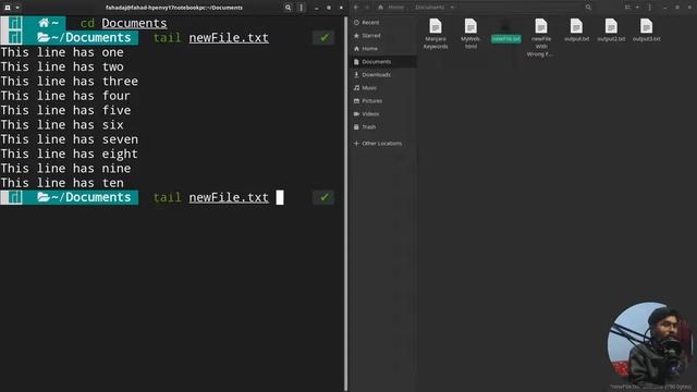 tail Command in Manjaro Linux - Basic Commands in Linux #18