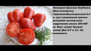 Каталог томатов. Вкусные и урожайные сорта.( 2 часть)