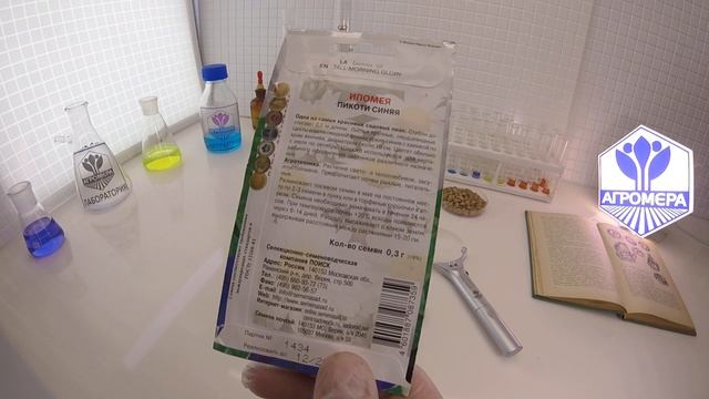 Ипомея Пикоти синяя. Ваше Хозяйство смотреть онлайн