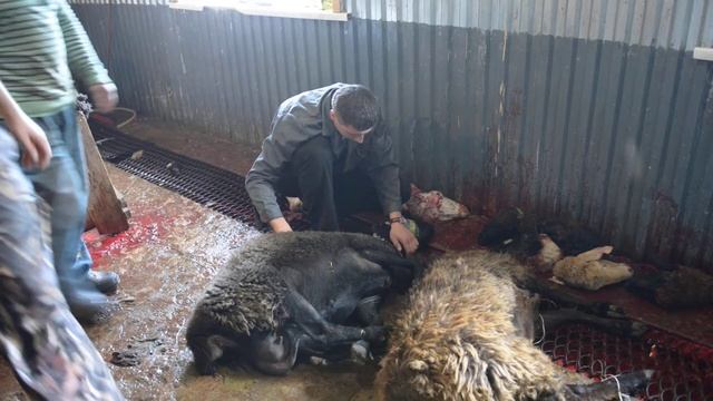 2015.09.24 - Иваново - Святой Праздник Куран - Байрам смотреть онлайн