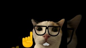 Cat nerd🤓🤓🤓
