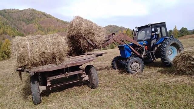 Трактора Т-40 в горах Алтая. Уборка сена. смотреть онлайн