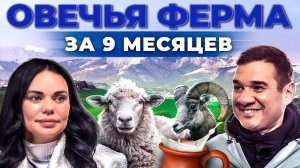 Как получают лучших овец? Овцеводство как бизнес. Овечье молоко и баранина. Андрей Даниленко