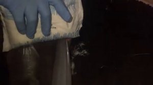 Шампиньоны. Удаление очагов плесени до первой волны. Старое видео.